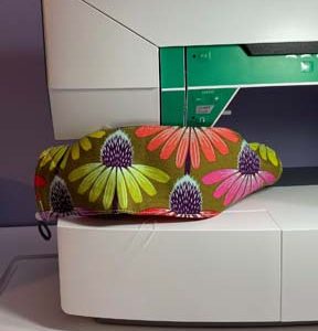 Echinachea Glow - Autumn