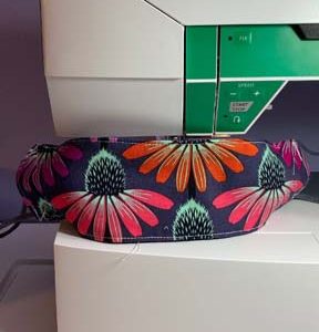 Echinachea Glow - Gray